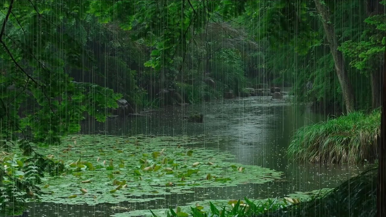 The beautiful little river is raining(414) , sleep, relax, meditate, ASMR, Real Shot