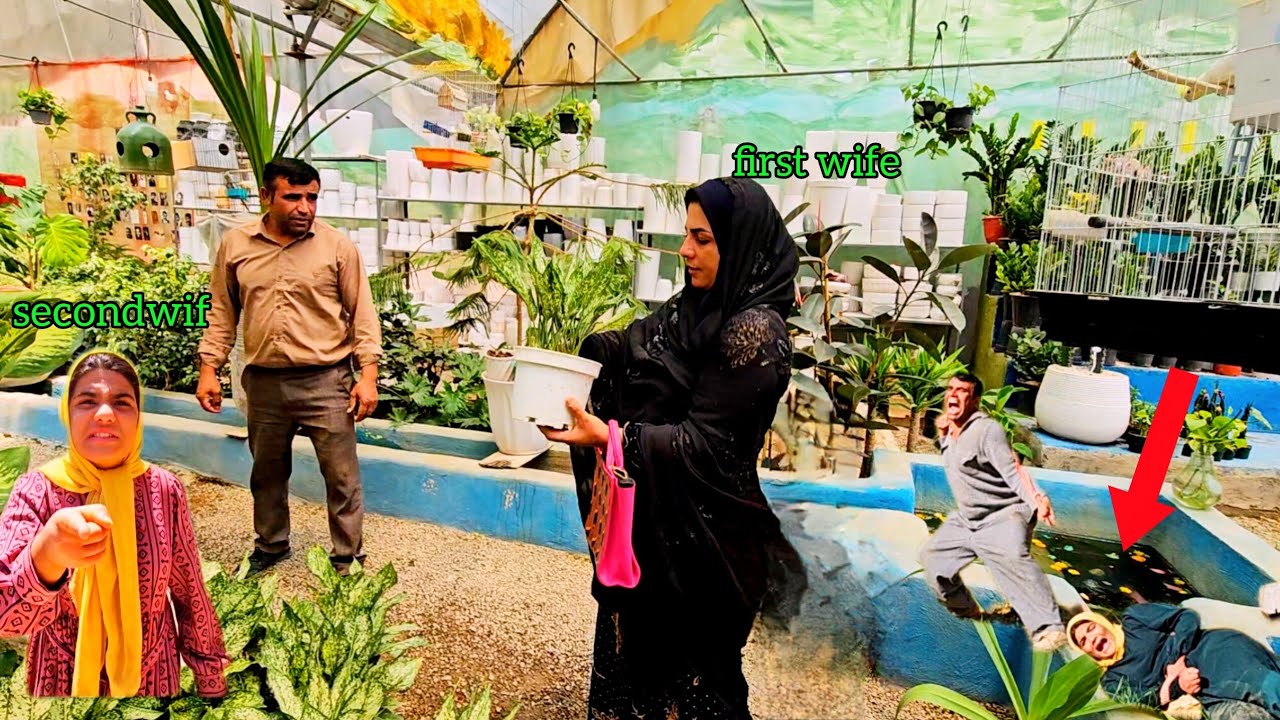 Zahra vs Ruqya in the House 🏠 Heshmat Loan Plans went wrong