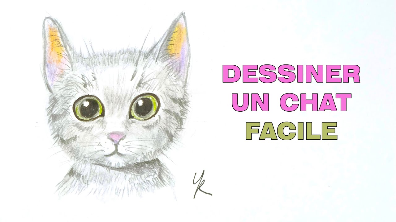 Comment dessiner un chat facile et mignon étape par étape