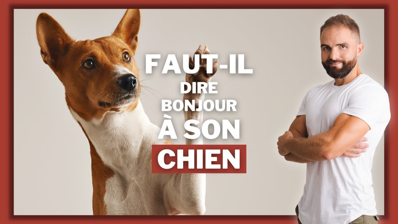 Faut il dire Bonjour a son chien ?
