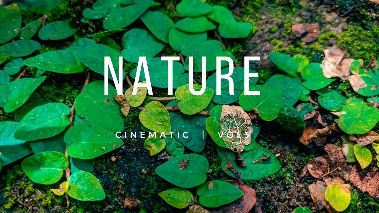 NATURE CINEMATIC Video