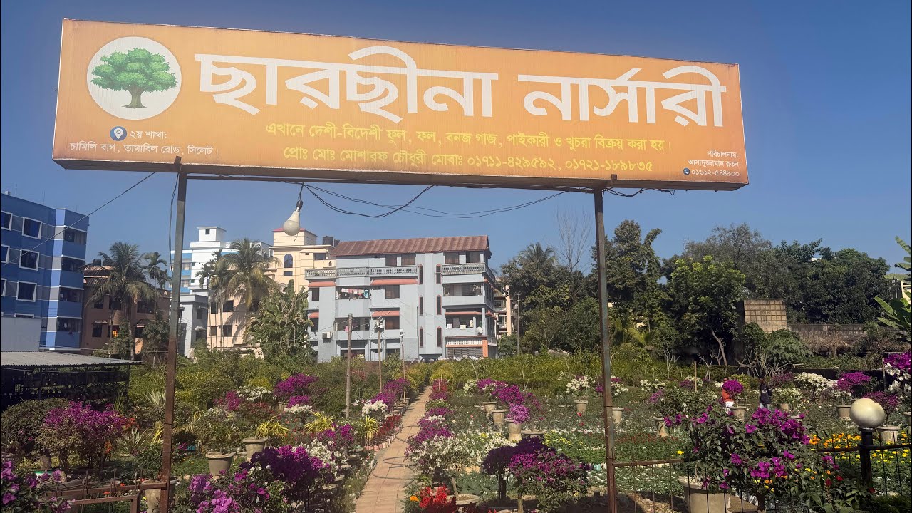 Sylhet Majortila.