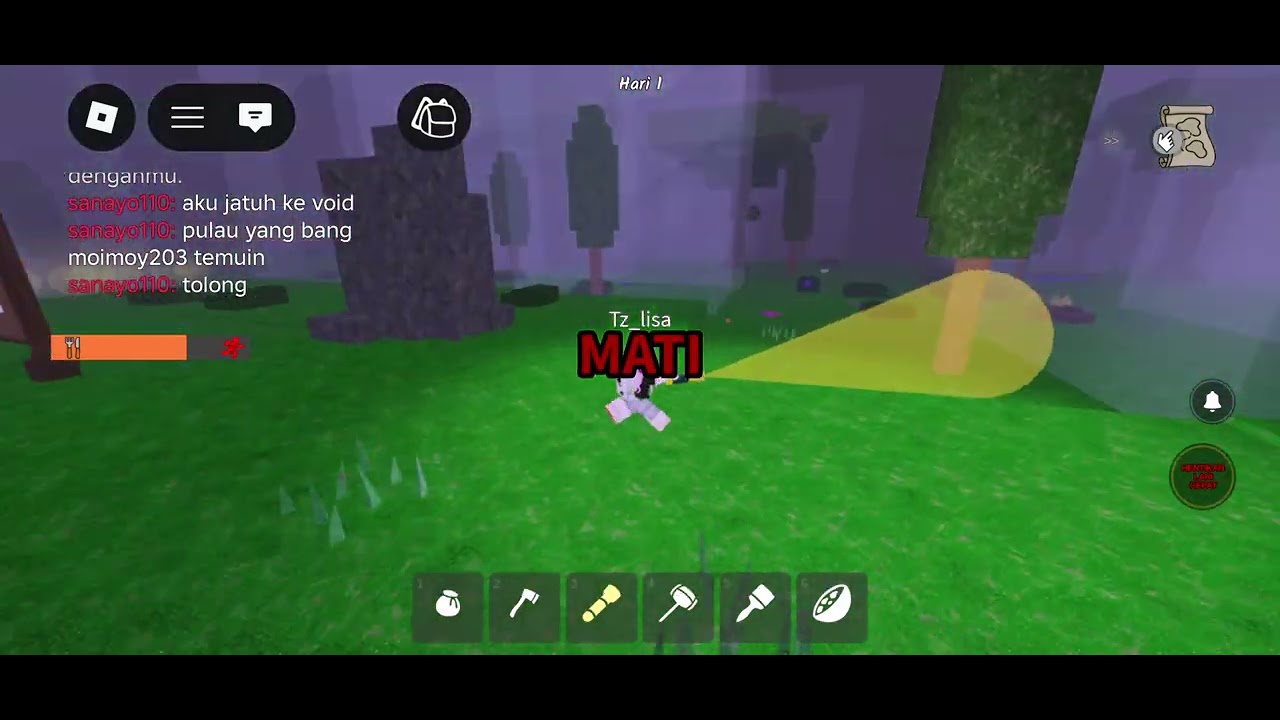 Roblox