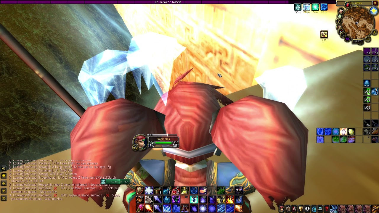 Zul'Farrak Mage GY & Scarabs + Witch Doctor