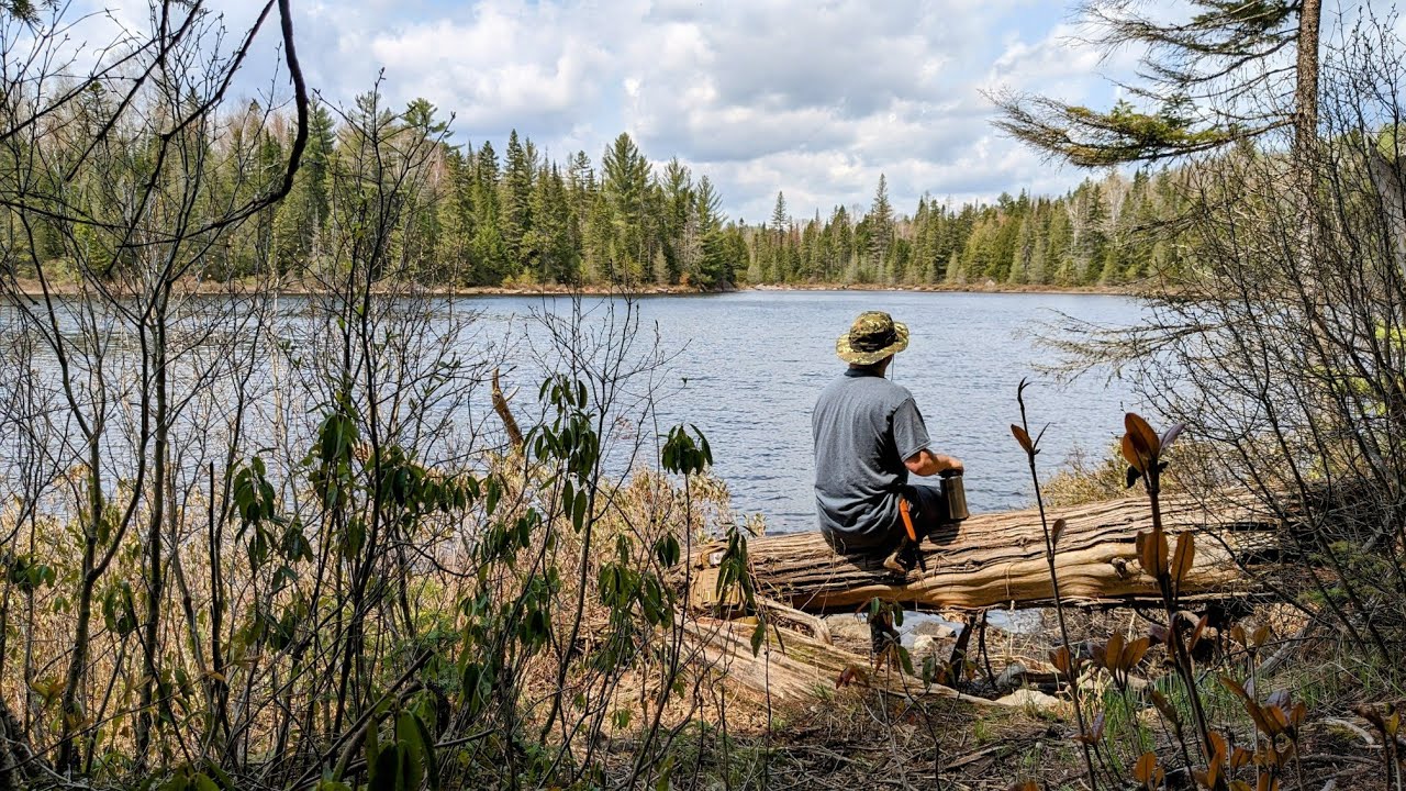 Bushcraft/Survie Longue sortie(1) For&ecirc;t Ouareau, Qu&eacute;bec