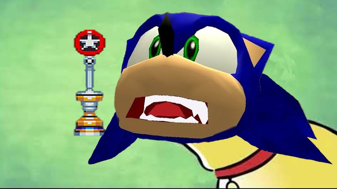 Sonic Was An Average Hog