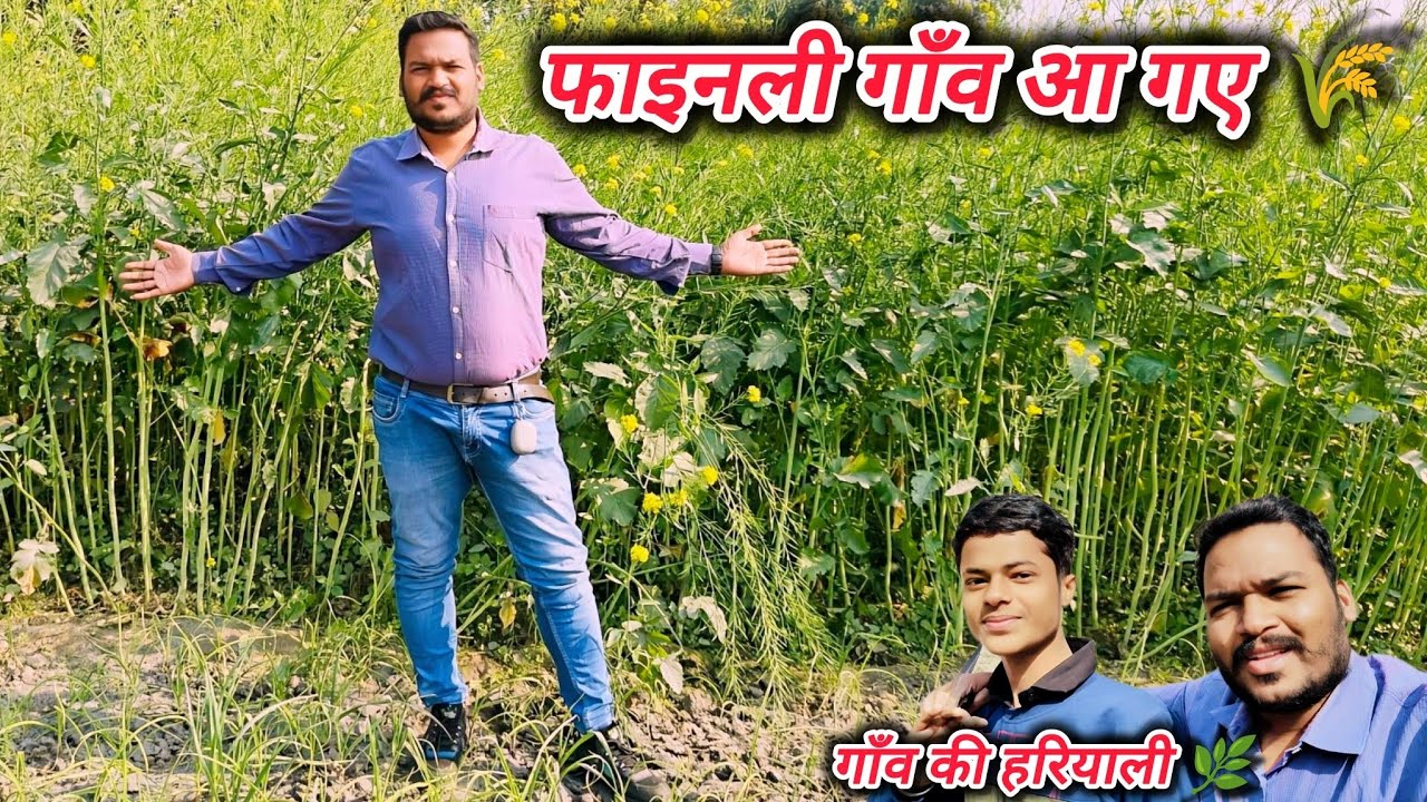 Finally Gaon Aa Gaye 🌾 | Kheton Ka Khoobsurat Nazara | Village Life Vlog #dailyvlog #villagelife 