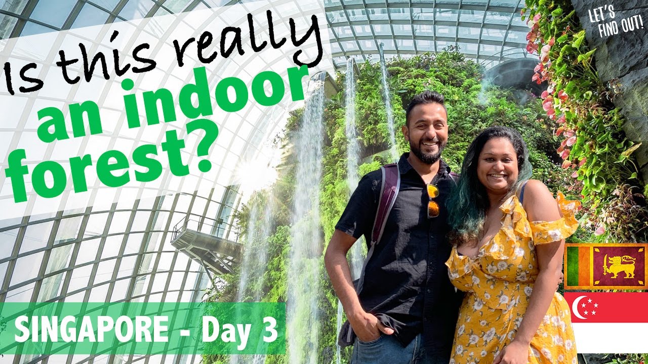 Cloud Forest, Singapore - The Most Beautiful Indoor Waterfall