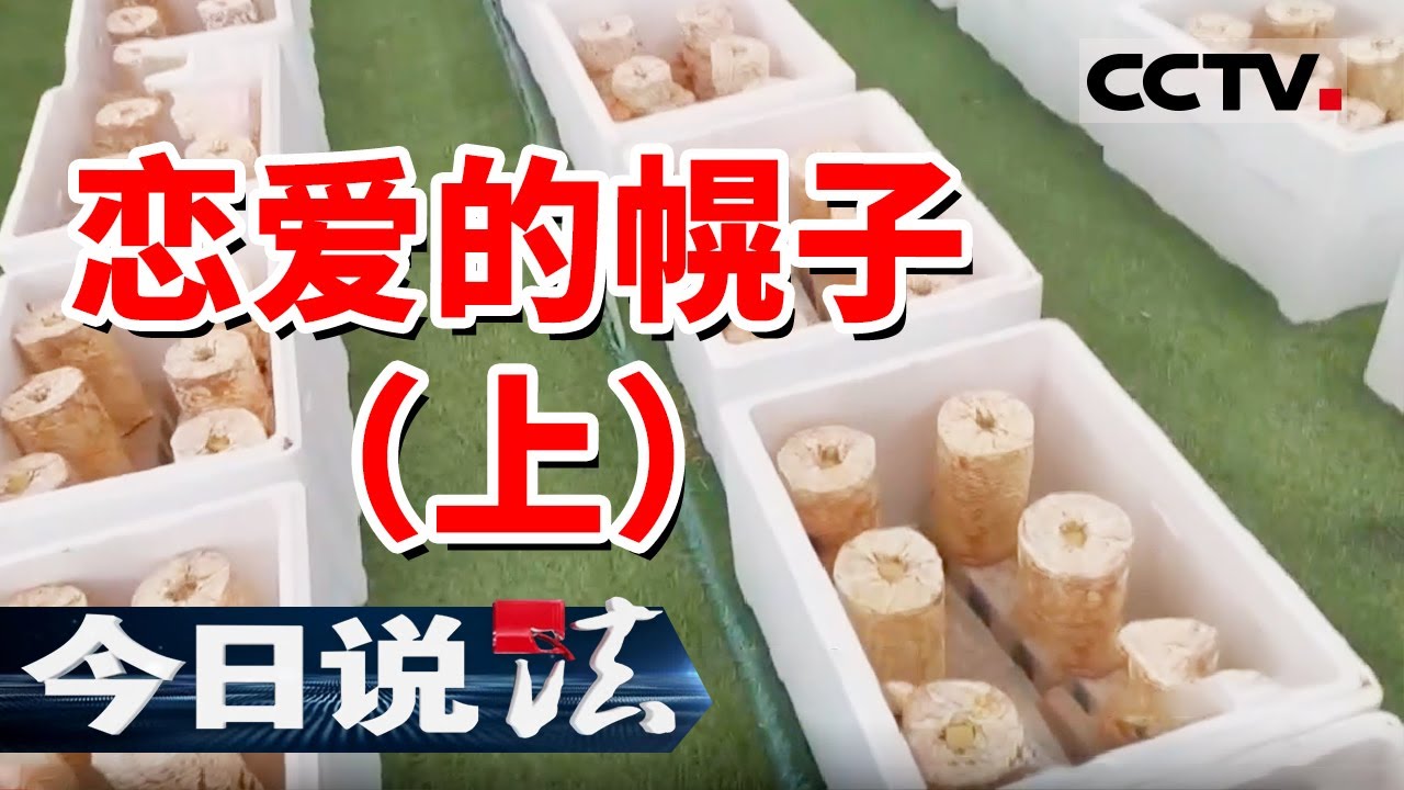 《今日说法》最新网络诈骗局！小心网络上带你赚钱的“另一半” 20241219 | CCTV今日说法官方频道