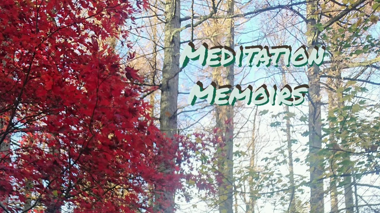 Meditation Memoirs - two short meditations and how to meditate
