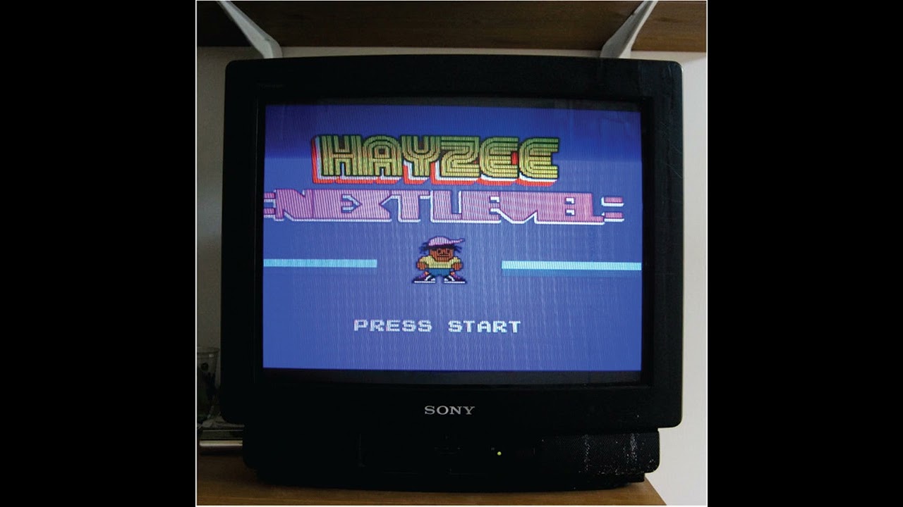 Hayzee - Next Level (2008) cHiptune instrumentals