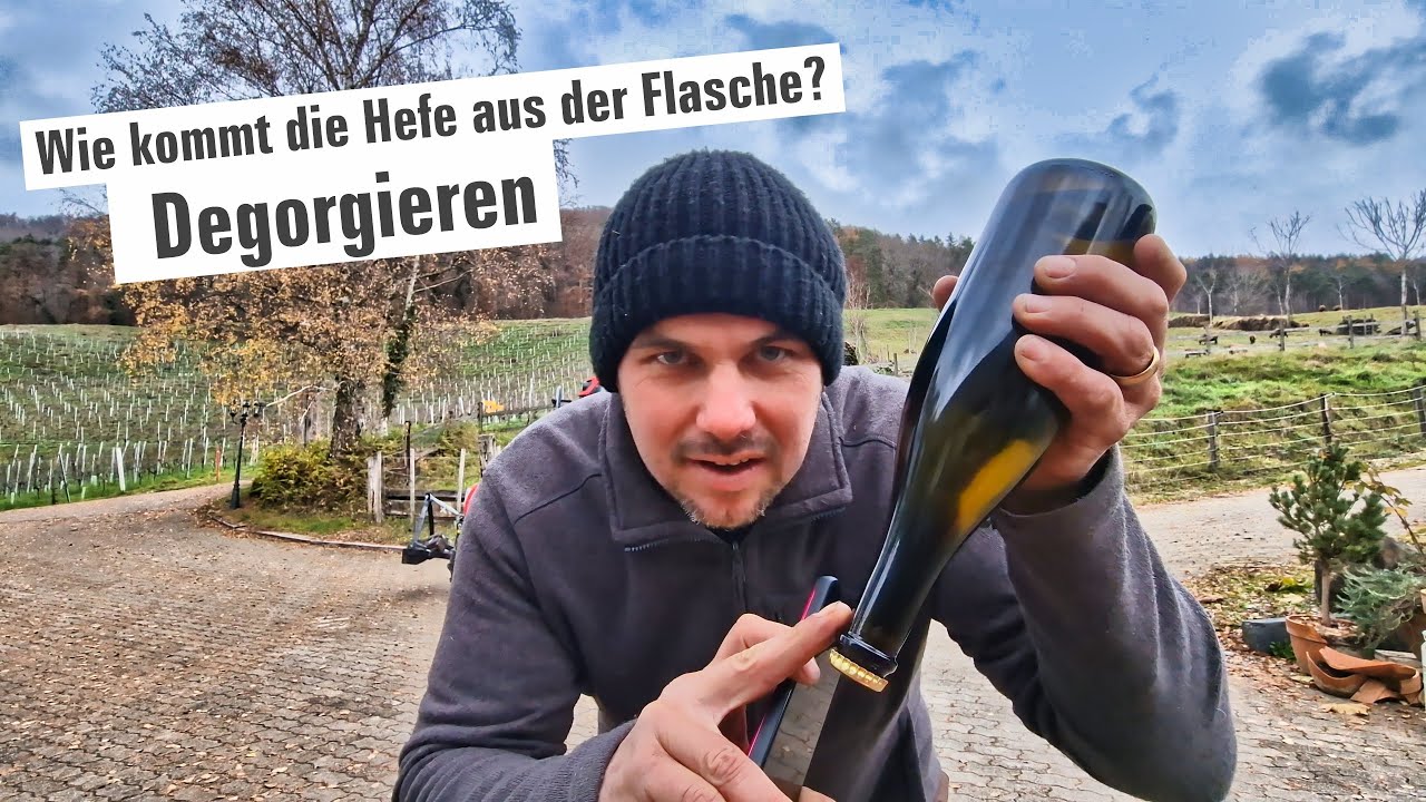Wie kommt die Hefe aus der Schaumwein Flasche? Degorgieren!  | mit Herzblut zum Wein Vlog #344