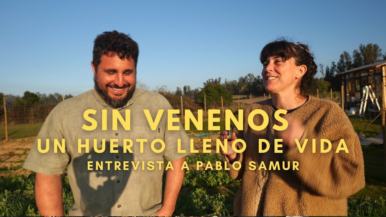 Te lo dice un Experto | Cómo cultivar sin Venenos | Entrevista a Pablo Samur #BioinsumosChakrana