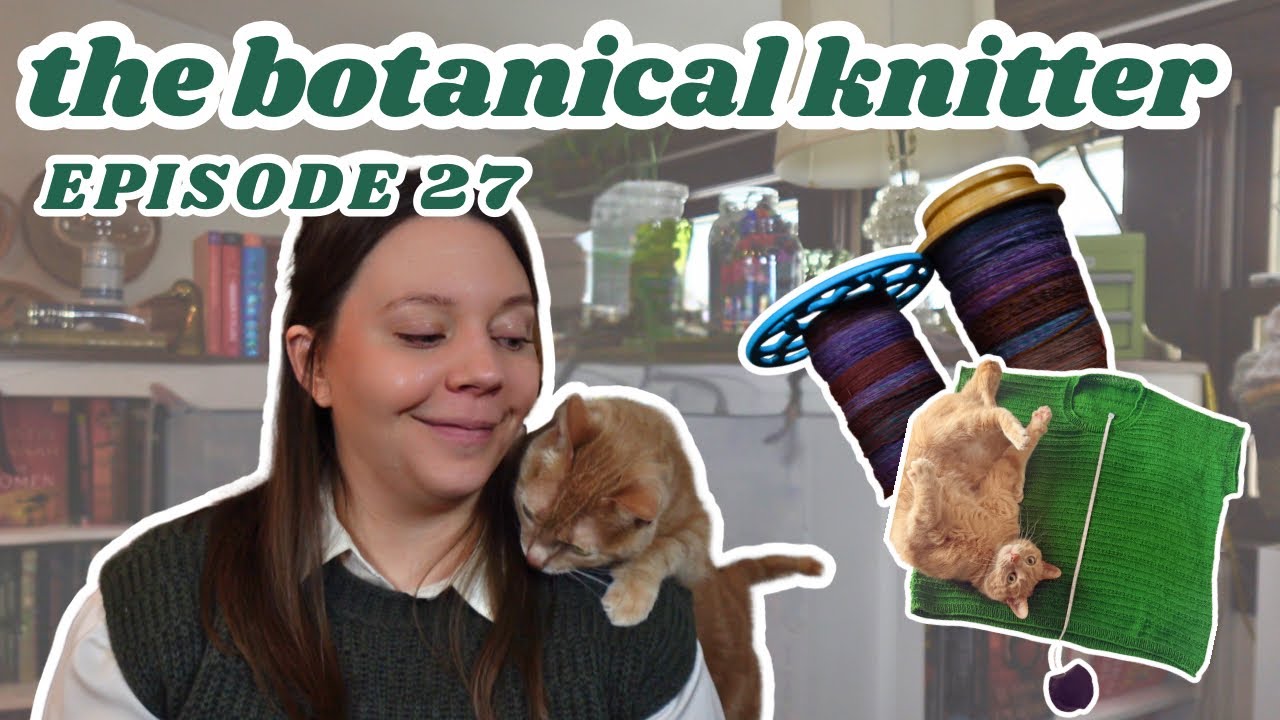 Prospect Tee + orange cat shenanigans + steeked cardigan