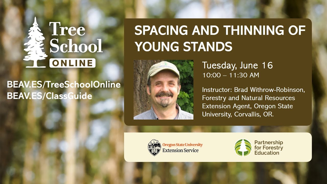 Tree School Online: Spacing and Thinning of Young Stands