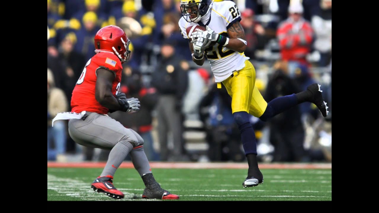 Michigan Wolverines WR Darryl Stonum gets two years' probation