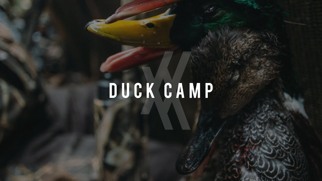 UNDIVIDED // DUCK CAMP