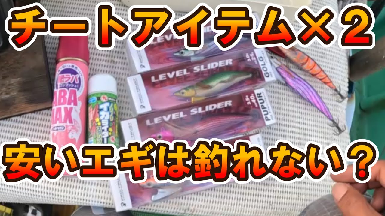 【テイップランエギ検証】ダイワVS安物。購入時の注意点。