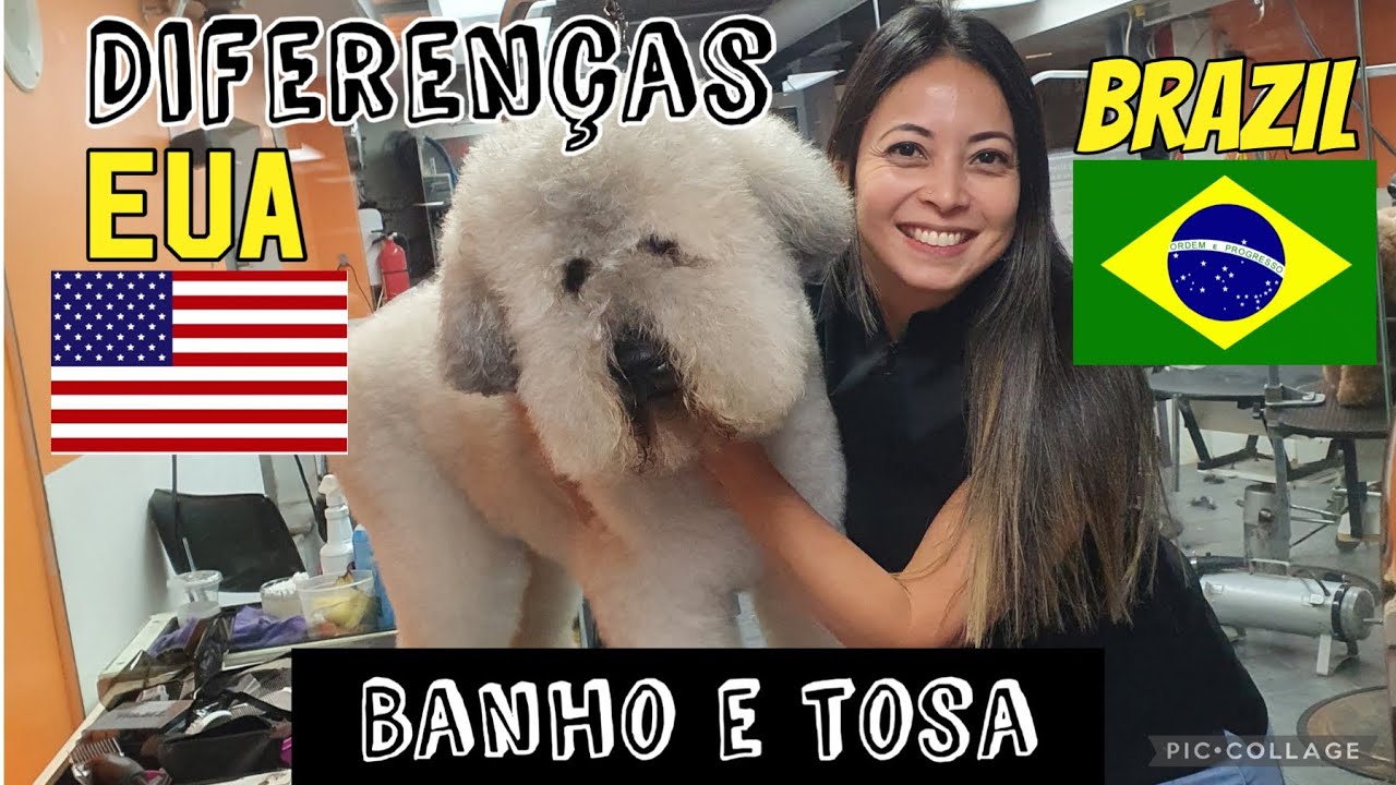 Diferença Banho e tosa EUA×Brasil🇺🇲🇧🇷