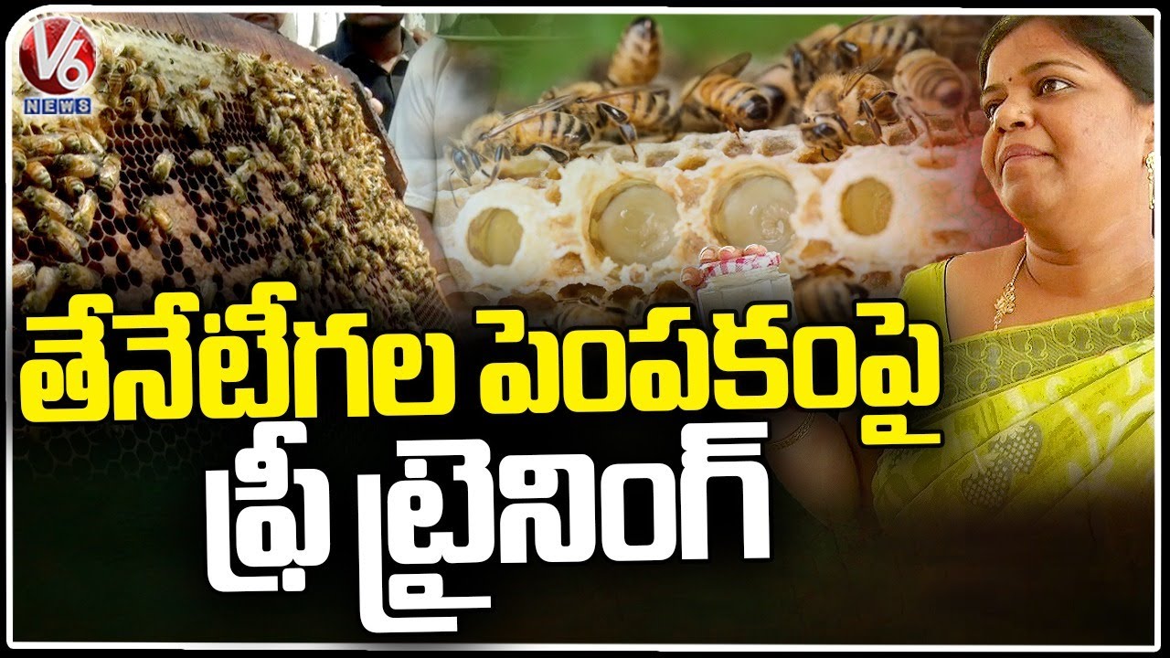 Apiculture : Free Training To Farmers On Honey Bee Farming | Siddipet | V6 News