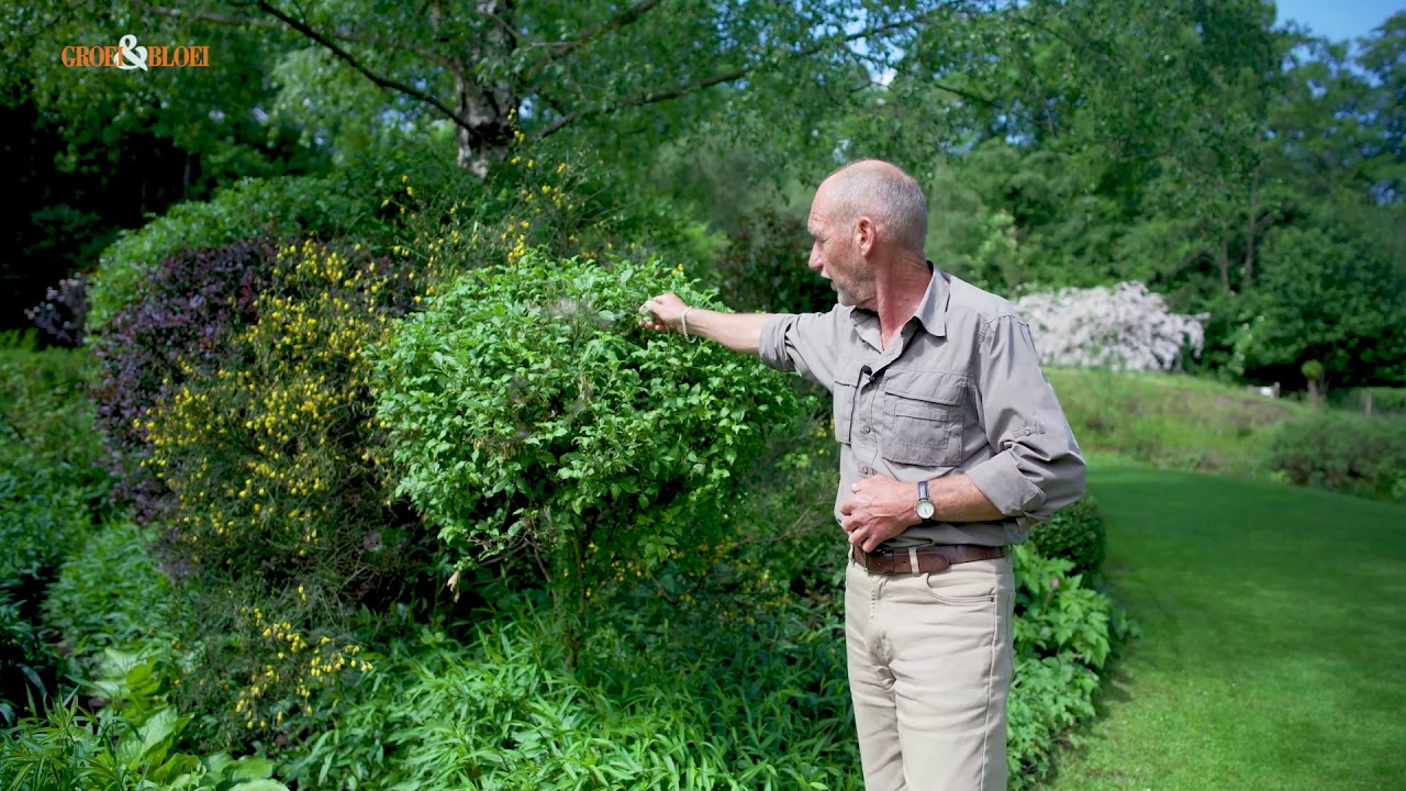 G&B OpentuinTV: De Sallandse Landschapstuin van Annelies en Frank Naber