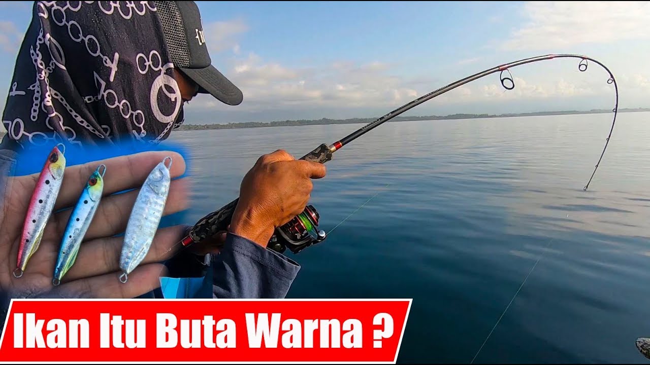 Memilih Warna Umpan Yang Tepat Saat mancing