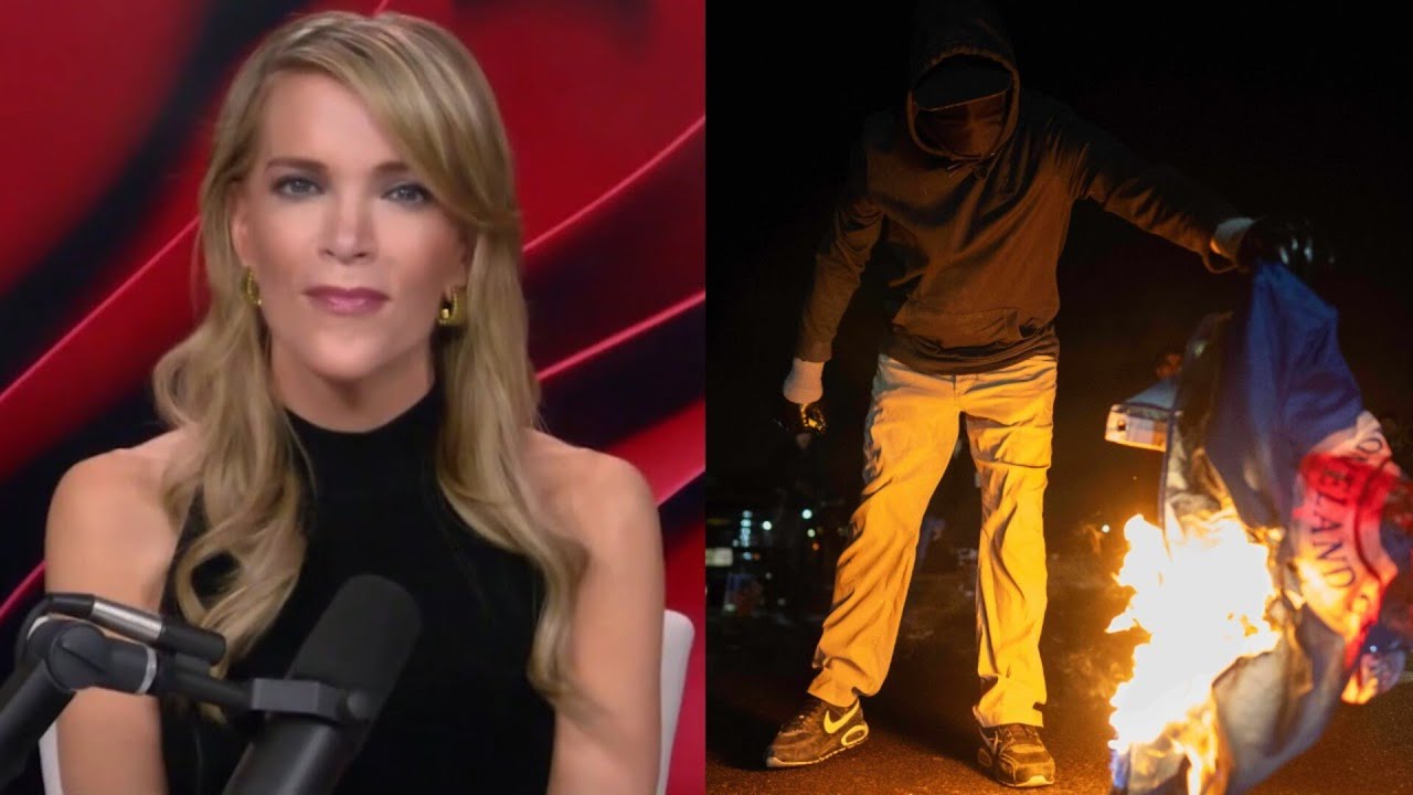 ‘They have no fun social life’: Megyn Kelly eviscerates ‘unattractive’ anti-ICE ‘iPhone warriors’
