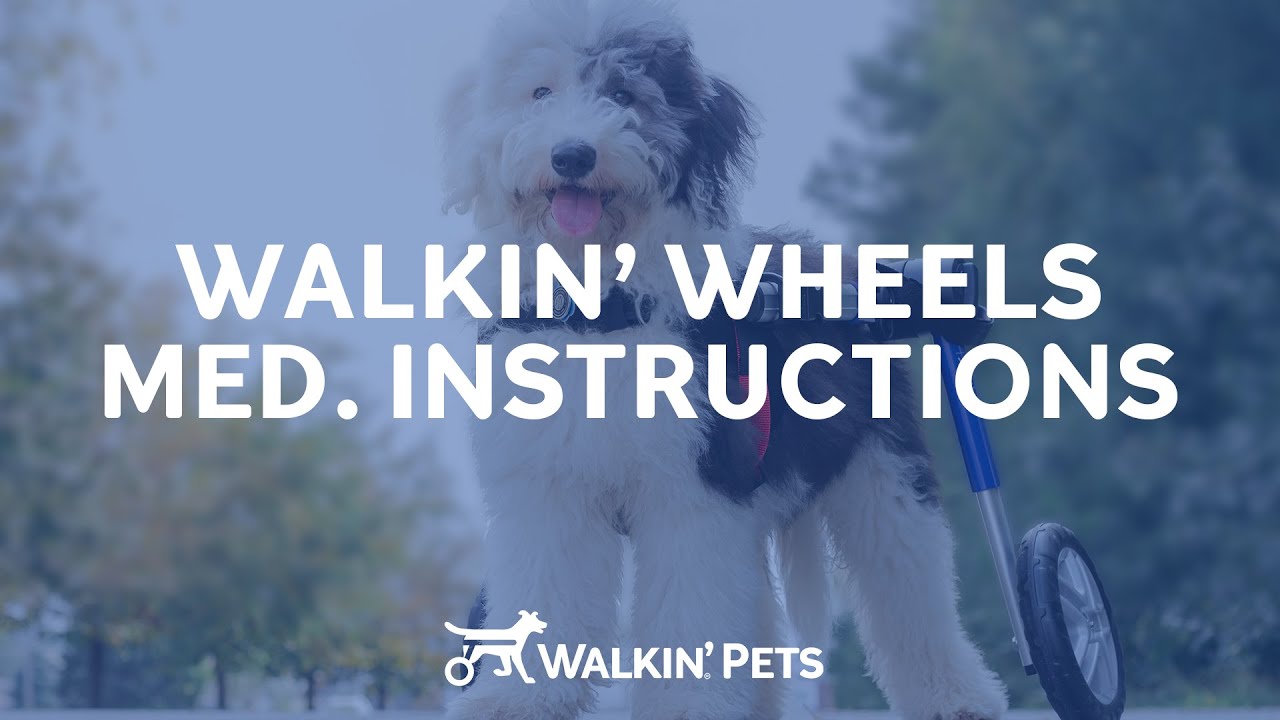 Инструкции для инвалидной коляски среднего размера Walkin' Wheels