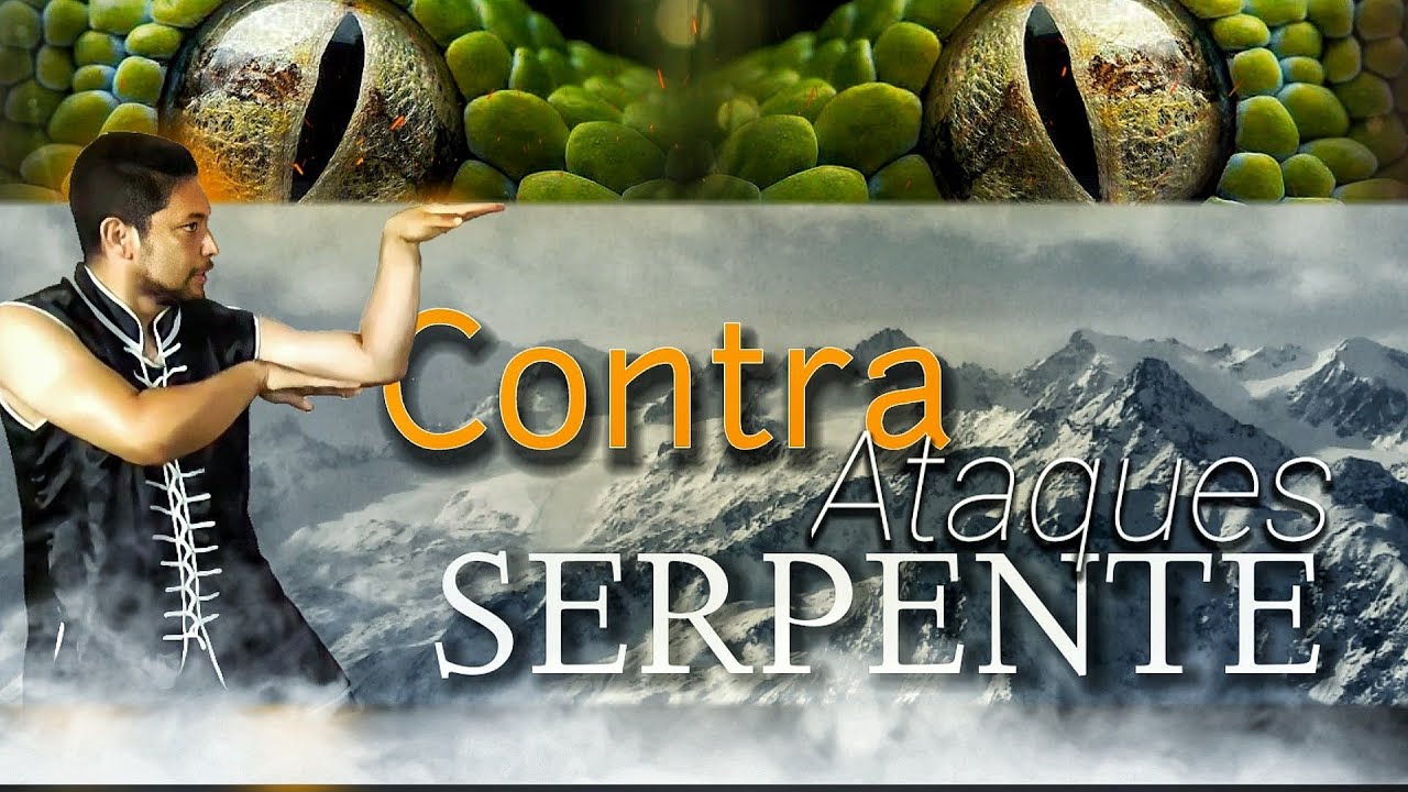 Contra Ataques Estilo Serpente do Kung Fu