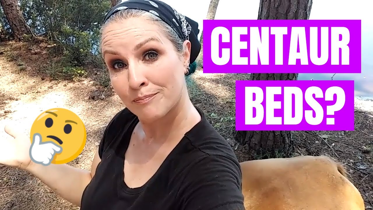 How Do Centaurs Sleep?