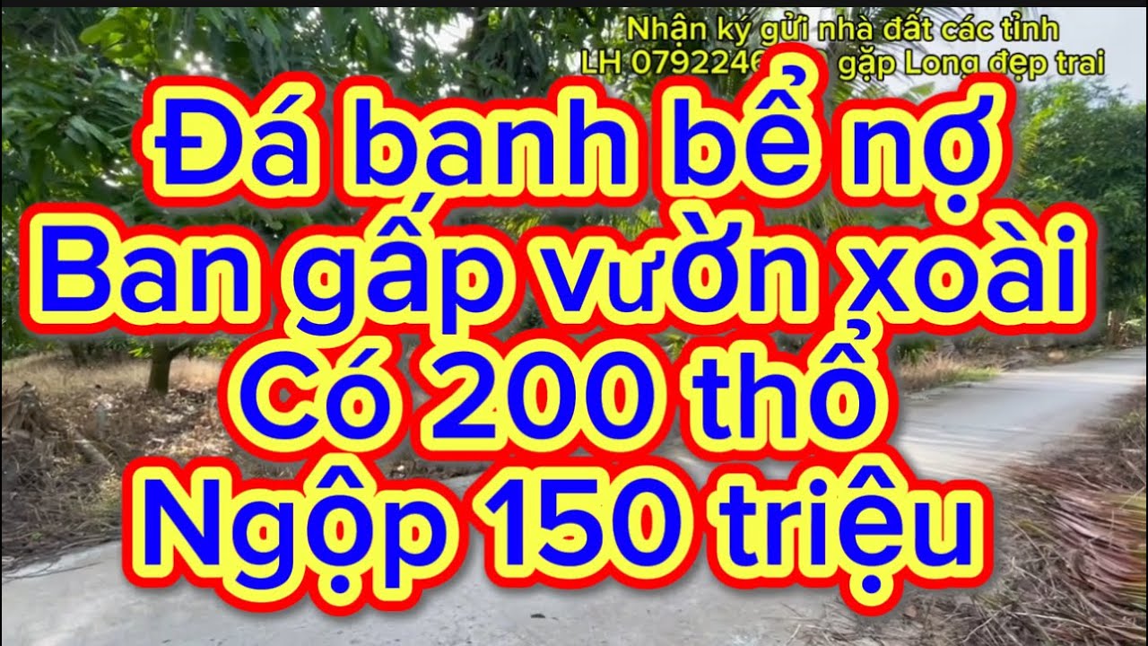 Cá độ da banh be no ban gấp vườn mít co sẵn 200 tho cu , Cần Thơ 50km