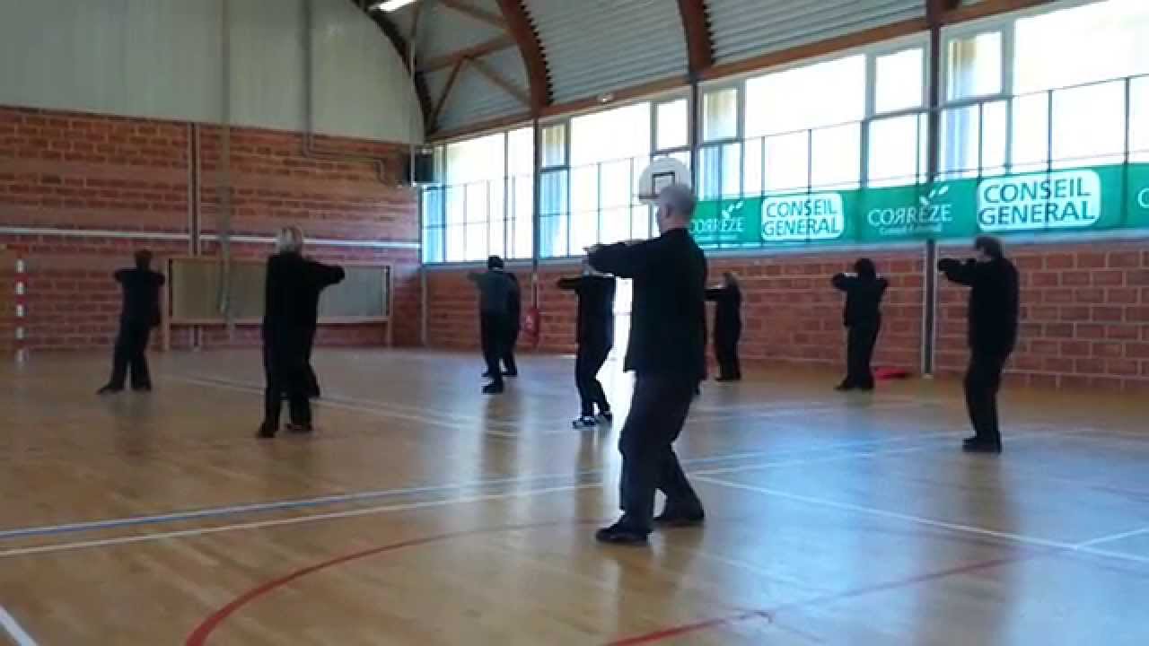 Tai Chi Style Yang: Forme 2 -  Franck Ferrière