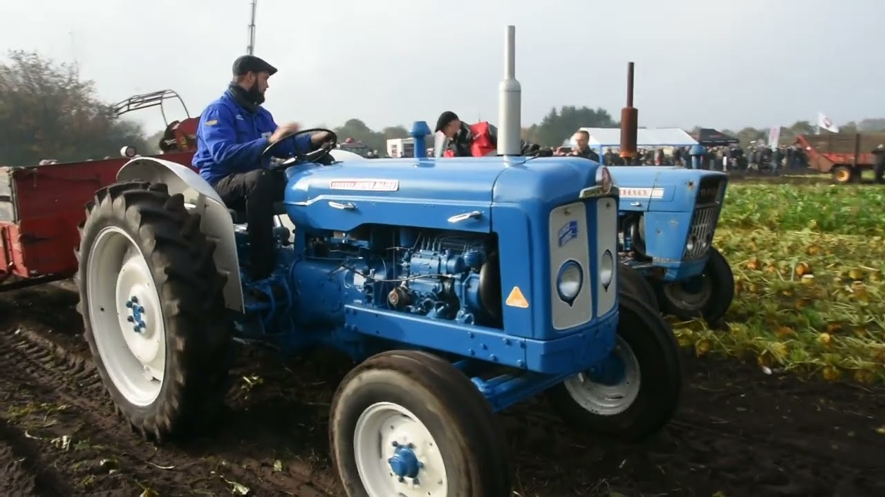 Roedag ved Spjald, Vestjysk Roeforening
