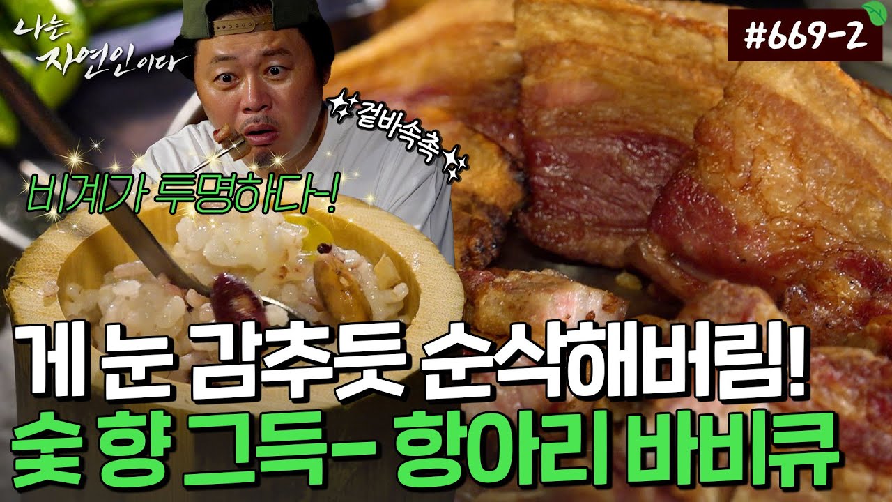 꼬들꼬들 기름 쪽! 빠진 불향 바비큐! 근데 이제 죽통 약밥을 곁들인..💚｜자연인 다시보기 669-2