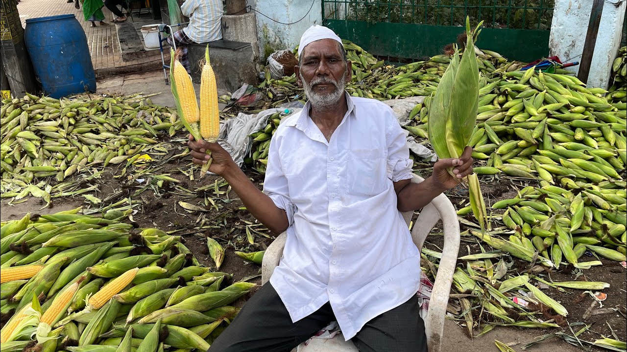 BHUTTA(MAIZE) MARKET WHOLESALE AT DARUS SALAM HYDERABAD ہول سیل بھٹہ مارکیٹ  BHUTTA KA BUSINESS