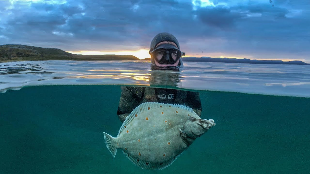 Take EPIC Spearfishing photos with your iPhone - Aquatech AxisGo Review