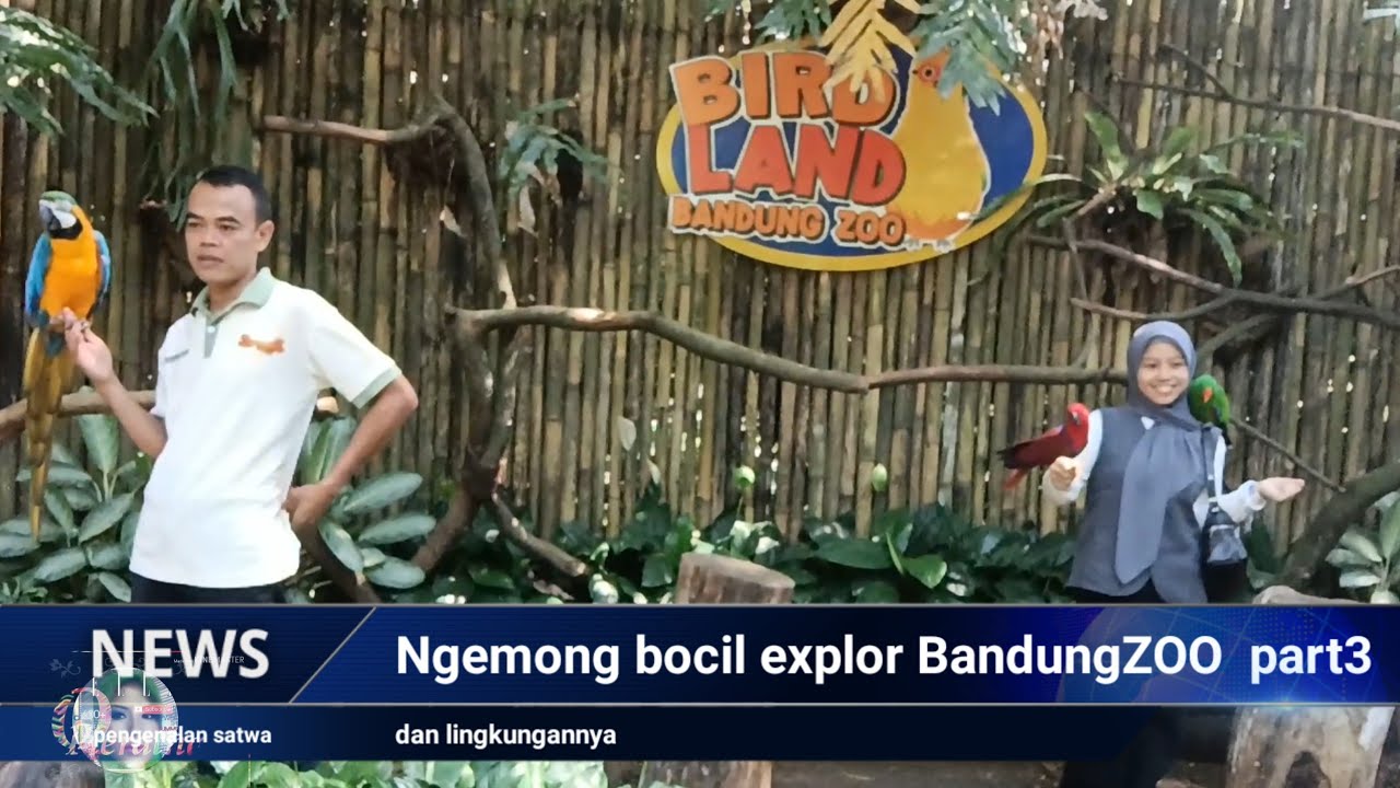 Semangat  Banget lihat hewan hewan  di badung zoo || ngemong bocil. Part3