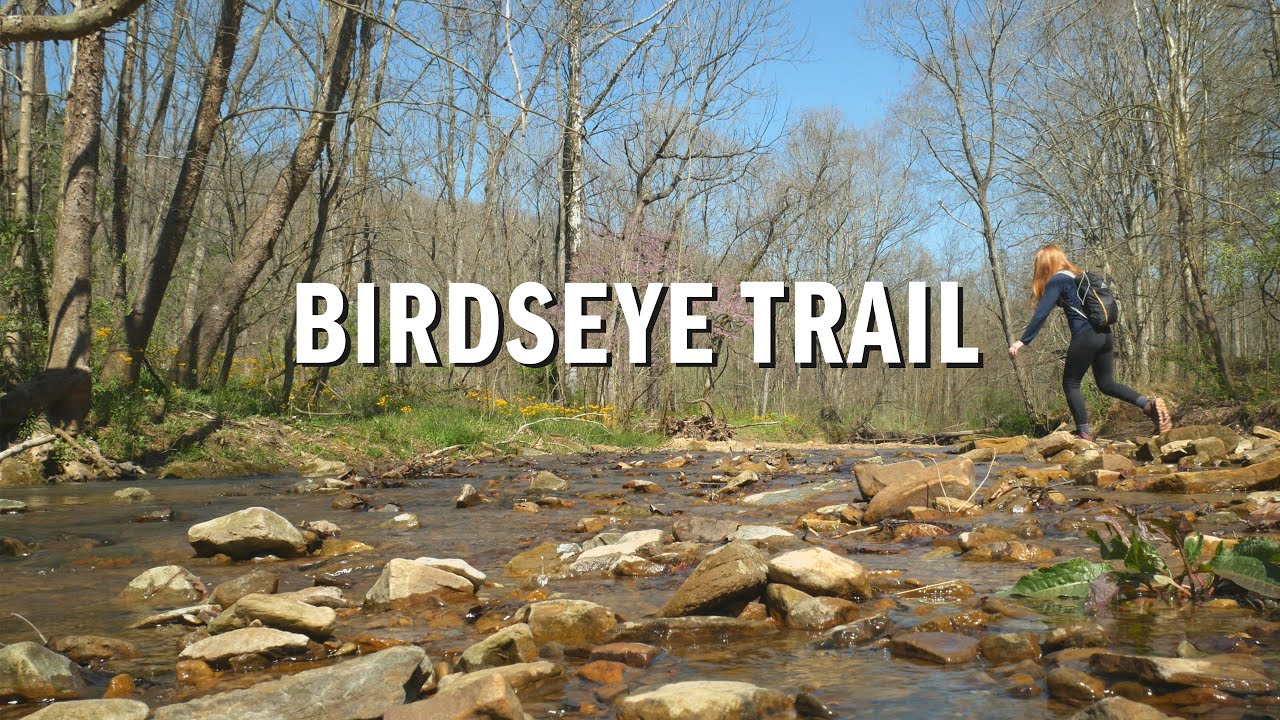 Birdseye Trail | Hoosier National Forest | Indiana Hike