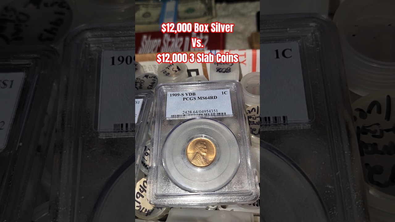 Junk 90% Silver Coins Vs Graded Slab Coins For Comparison. I Collect Gold Silver Bullion & Firearms