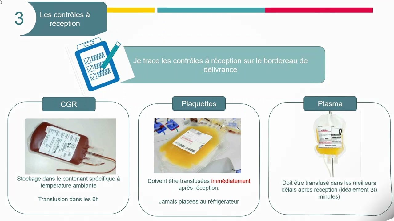 FORMATION PARTIE 1 -  BLOODQUIZ
