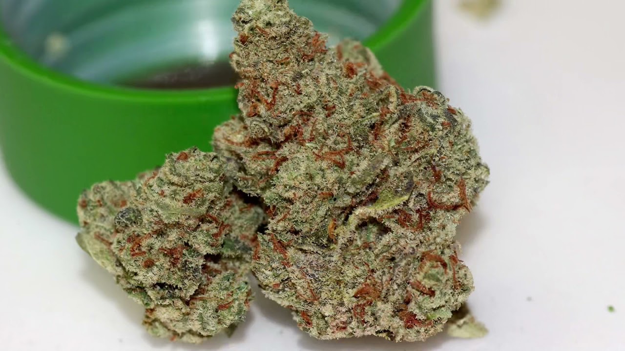 Bedford Grow Orange Afghani Review