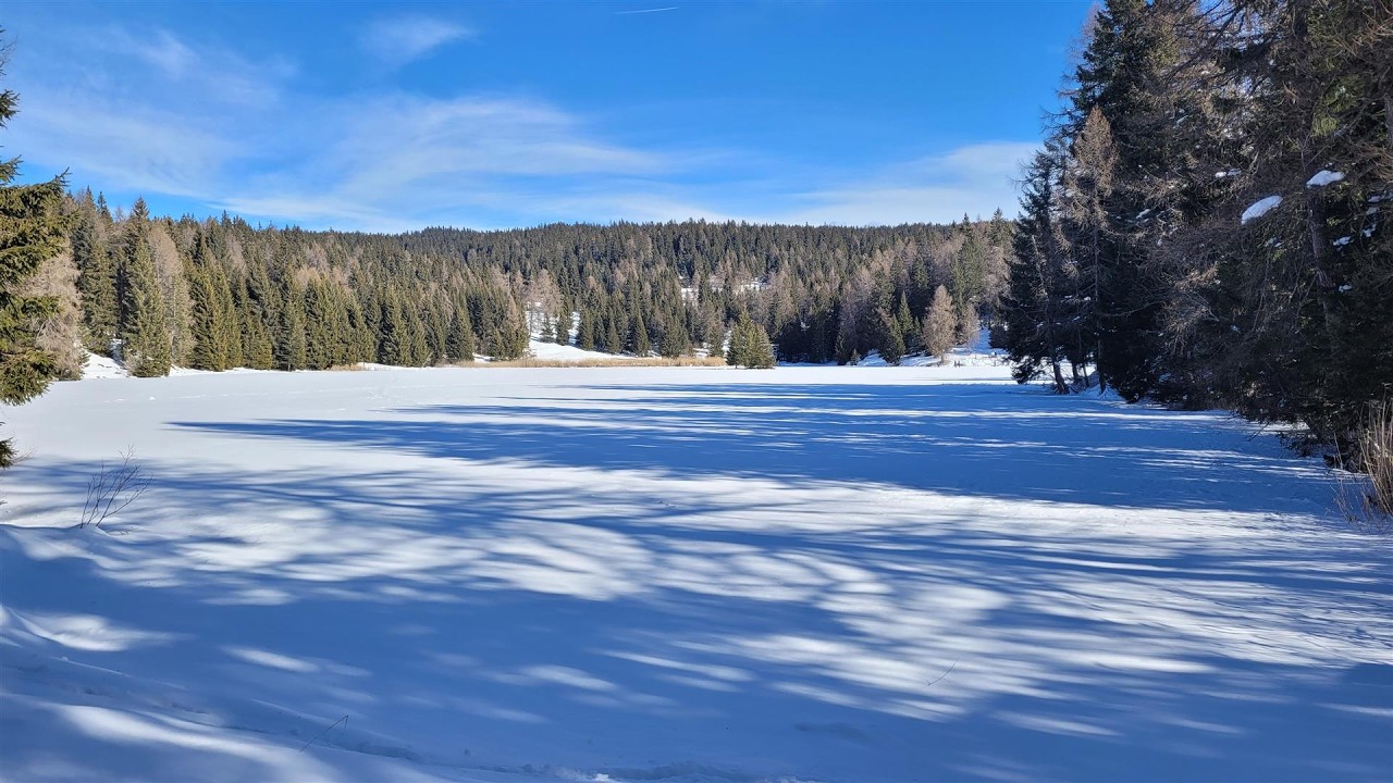 Malga San Felice e Lago di Tret  (15 feb. 2026)