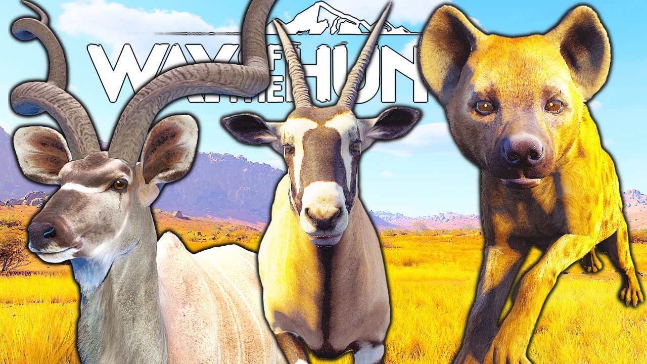 This Was Supposed to be Just a Five Star Gemsbok Hunt | Way of the Hunter