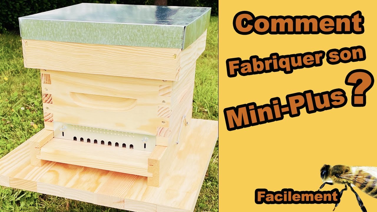 Fabriquer son Miniplus facilement pour faire des Reines Abeilles   Le corp du nucleus ?
