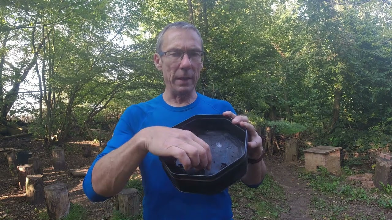 How to char chicken of the woods