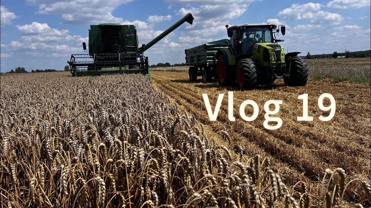 Vlog 19. Żniwa 2025 SU Banatus pod kose. John deere 1177
