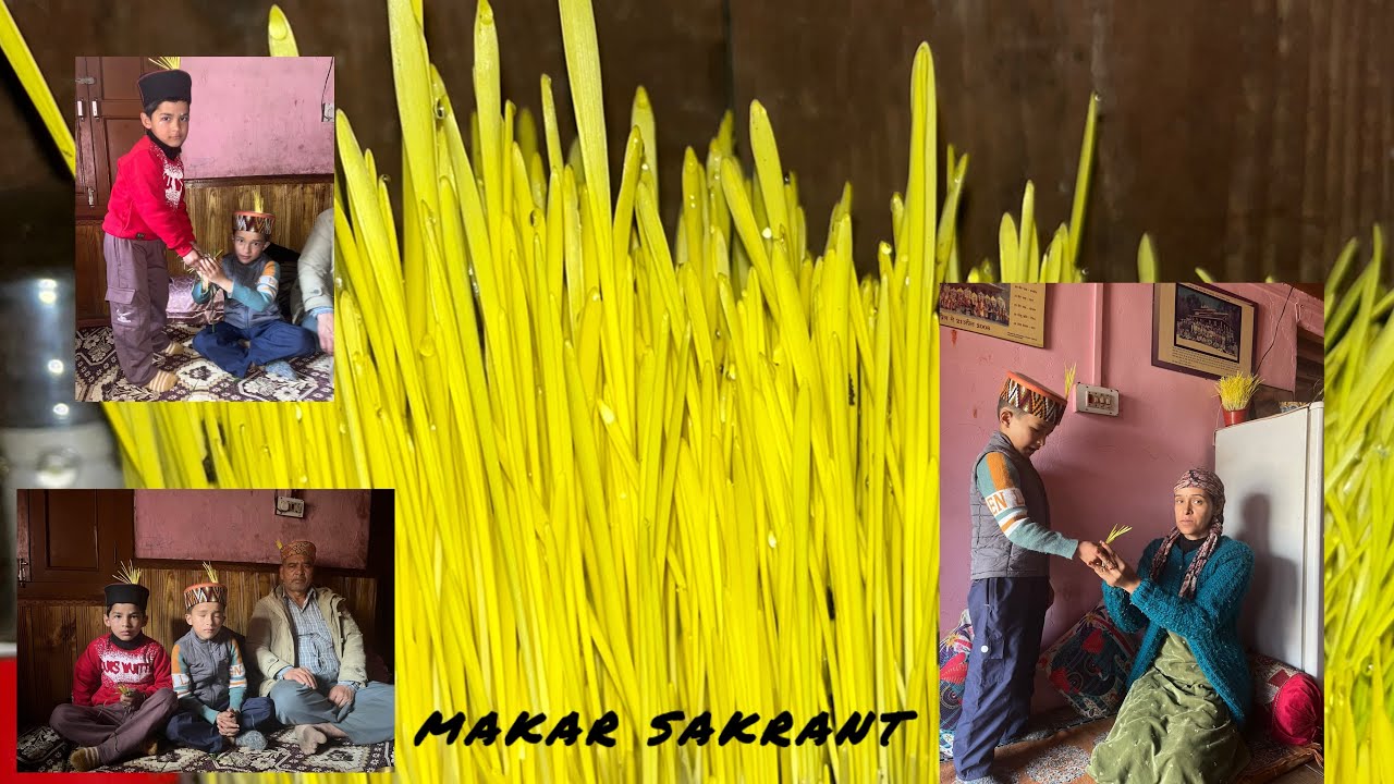 Makar Sakrant (Magh ka Saaza)🌸Himani Sharma🌸