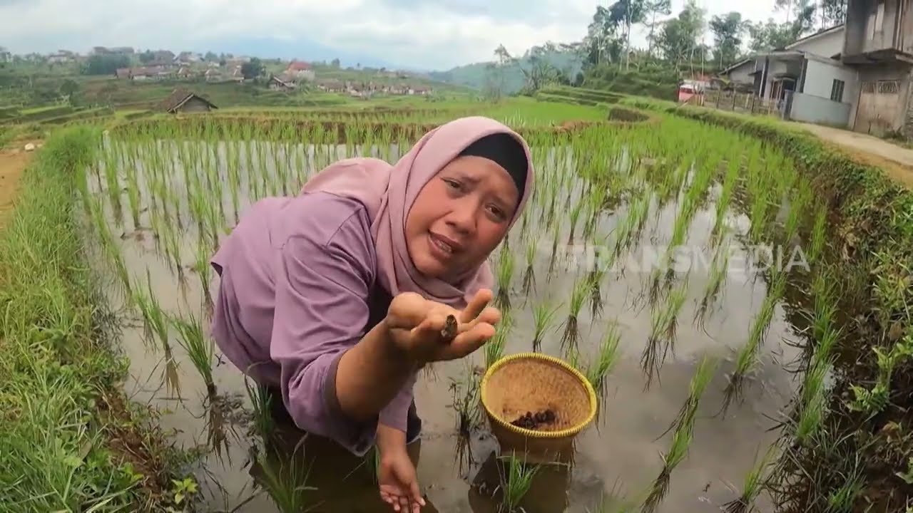 [FULL] MASAKAN UNIK NIKMAT ALA EMAK ENAH | ENAH BIKIN ENAK (08/12/25)