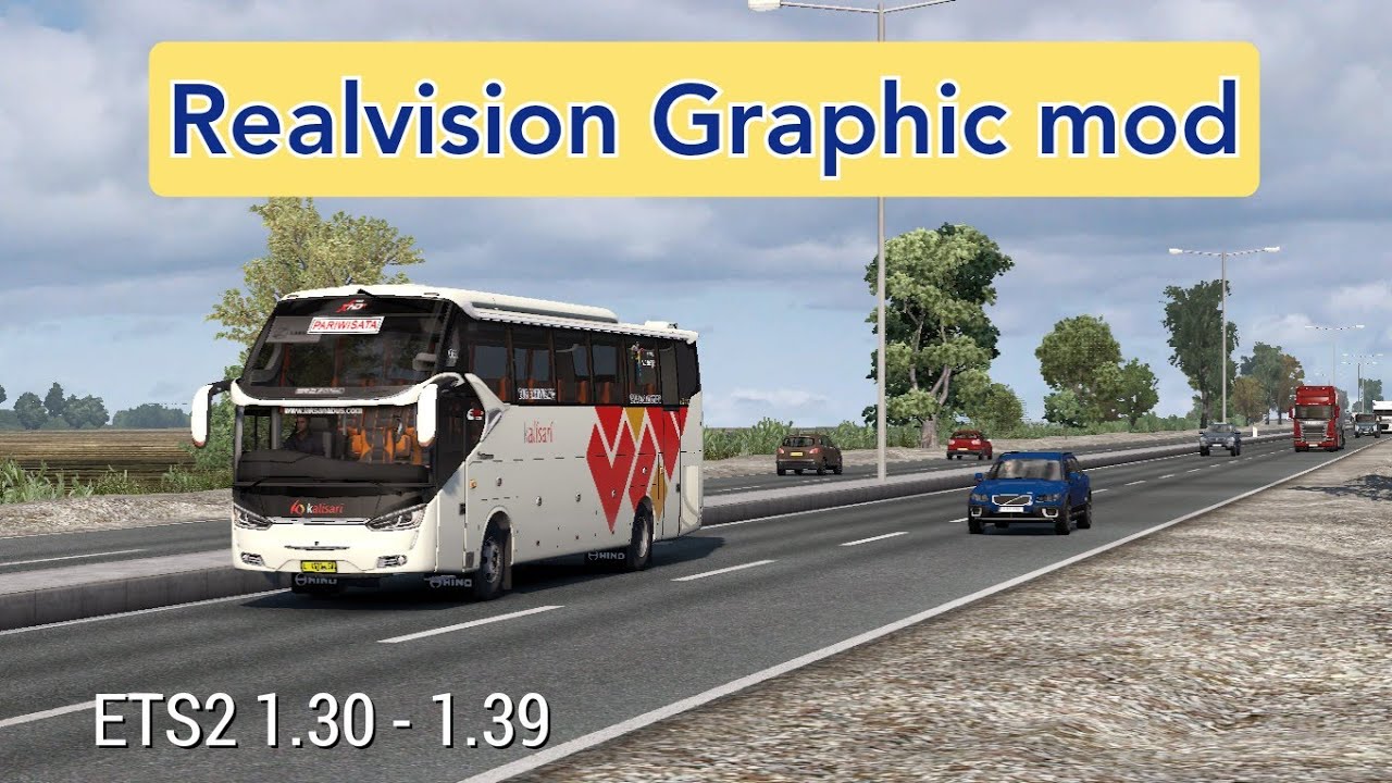 Real Vision Graphic | ETS2 1.30 - 1.39 | Installation + link