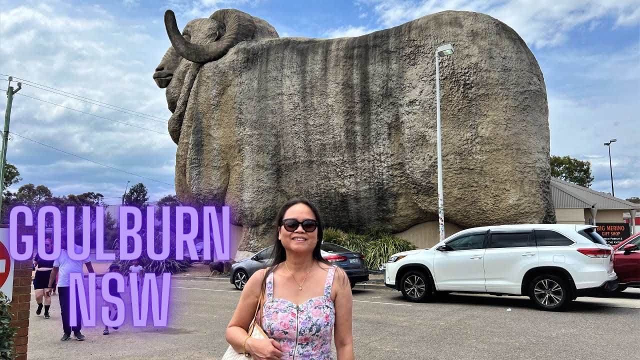 Goulburn, NSW #Goulburn #thebigmerino